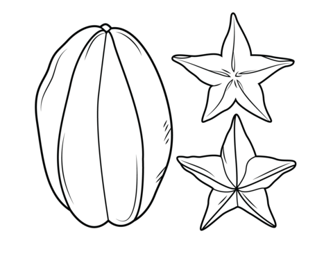 480x366 Carambola Or Star Fruit Coloring Page Free Printable Coloring Pages