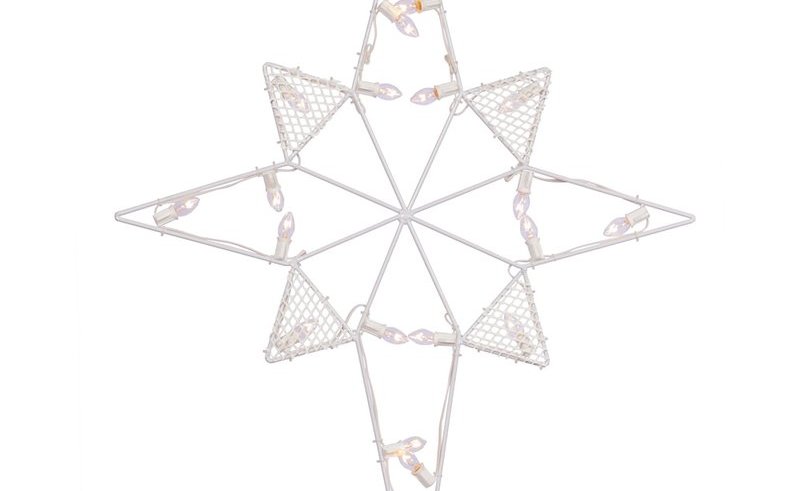 800x491 Blue Star Of Bethlehem Flower Drawing Gardening Flower