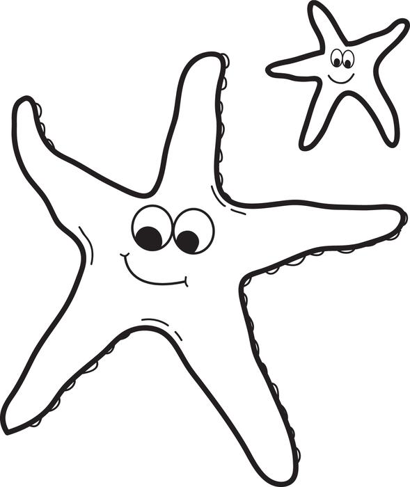 589x700 Starfish Outline Printable