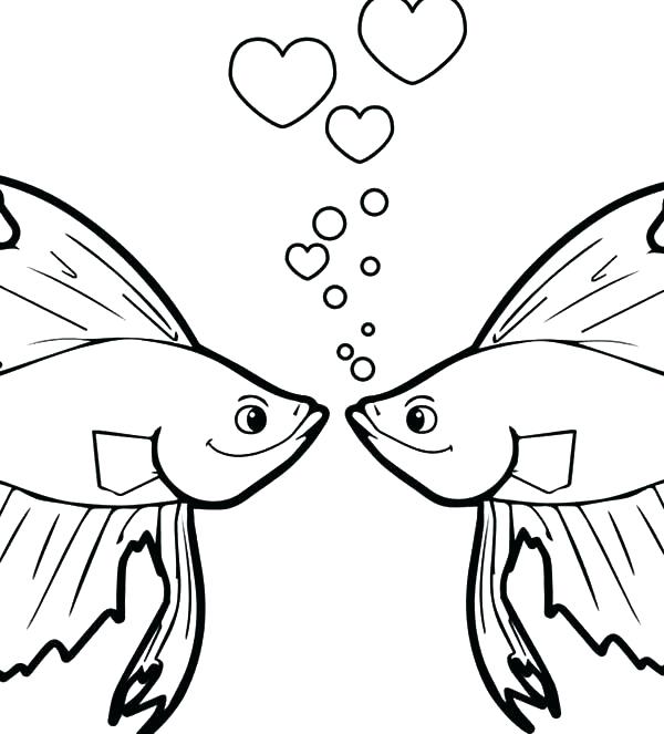 600x663 Complete Starfish Coloring Pages Print Fish Color And Goldfish