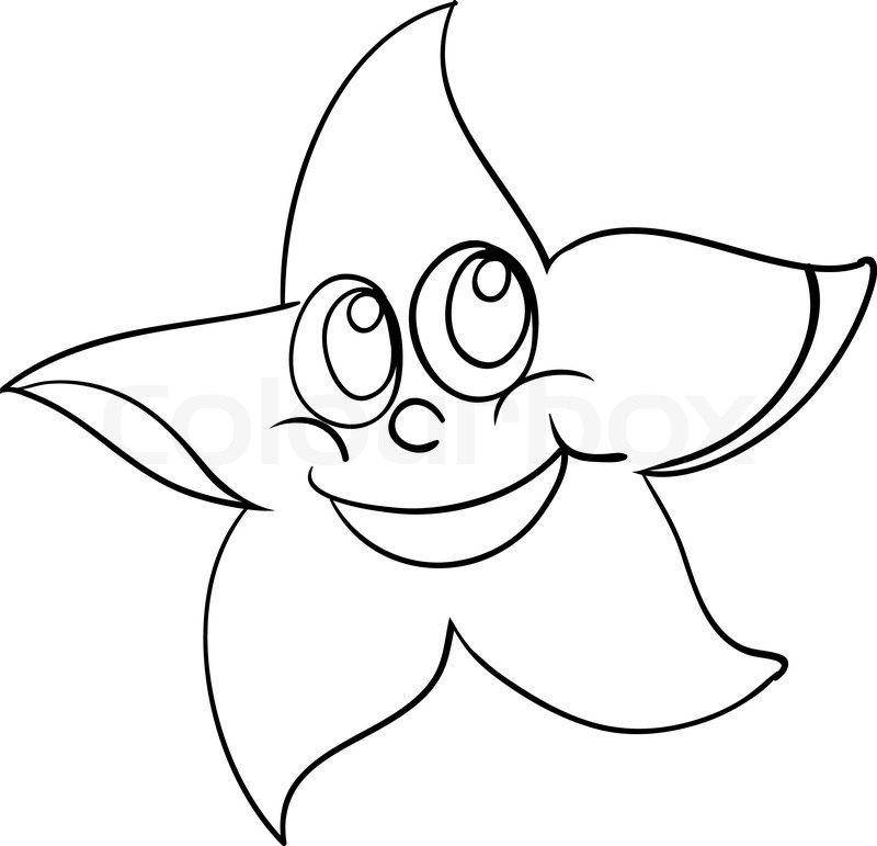 800x771 Starfish Stock Vector Colourbox