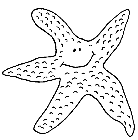 577x585 Starfish
