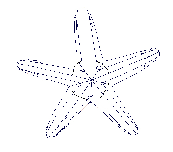600x527 How To Create A Starfish In Adobe Illustrator