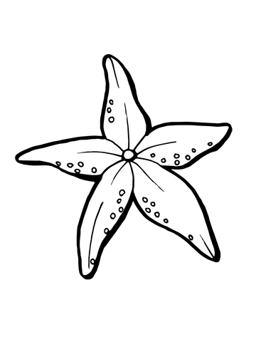 360x480 Realistic Starfish Coloring Page Free Printable Coloring Pages