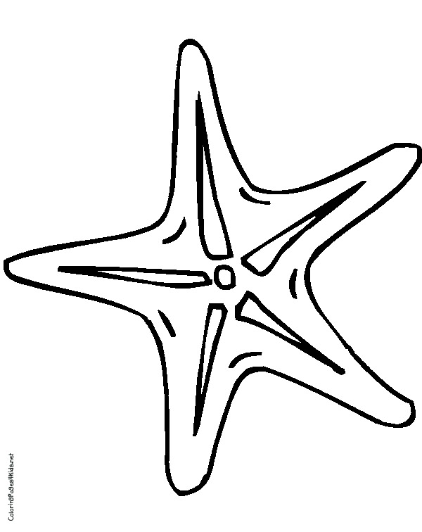 600x756 Best Photos Of Free Printable Pictures Of Starfish