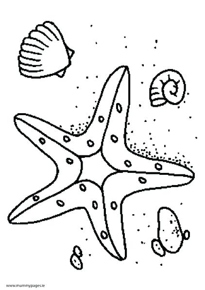 422x597 Star Fish Coloring Page Printable Starfish Pages Starfis