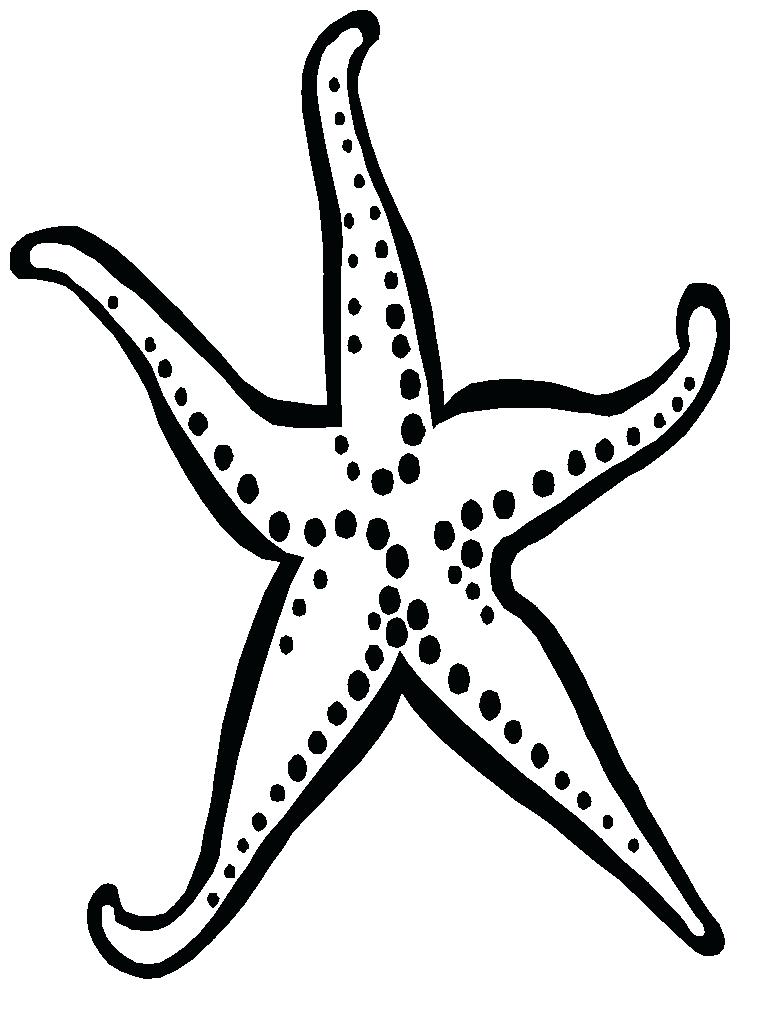 768x1024 Starfish Coloring Pages Free Printable Free Coloring Book Picture