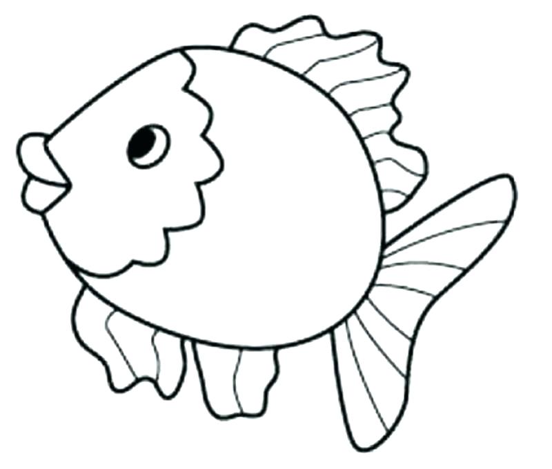 800x680 Starfish Coloring Pages Sea Star Coloring Page Star Fish Coloring
