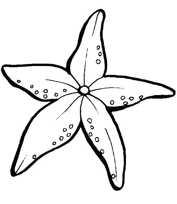 600x689 Starfish Coloring Pages Starfish Coloring Page For Kids Free