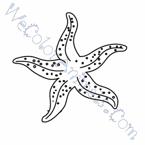 300x300 Starfish Coloring Pages