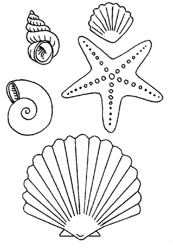 580x832 Here Are Starfish Coloring Pages Pictures