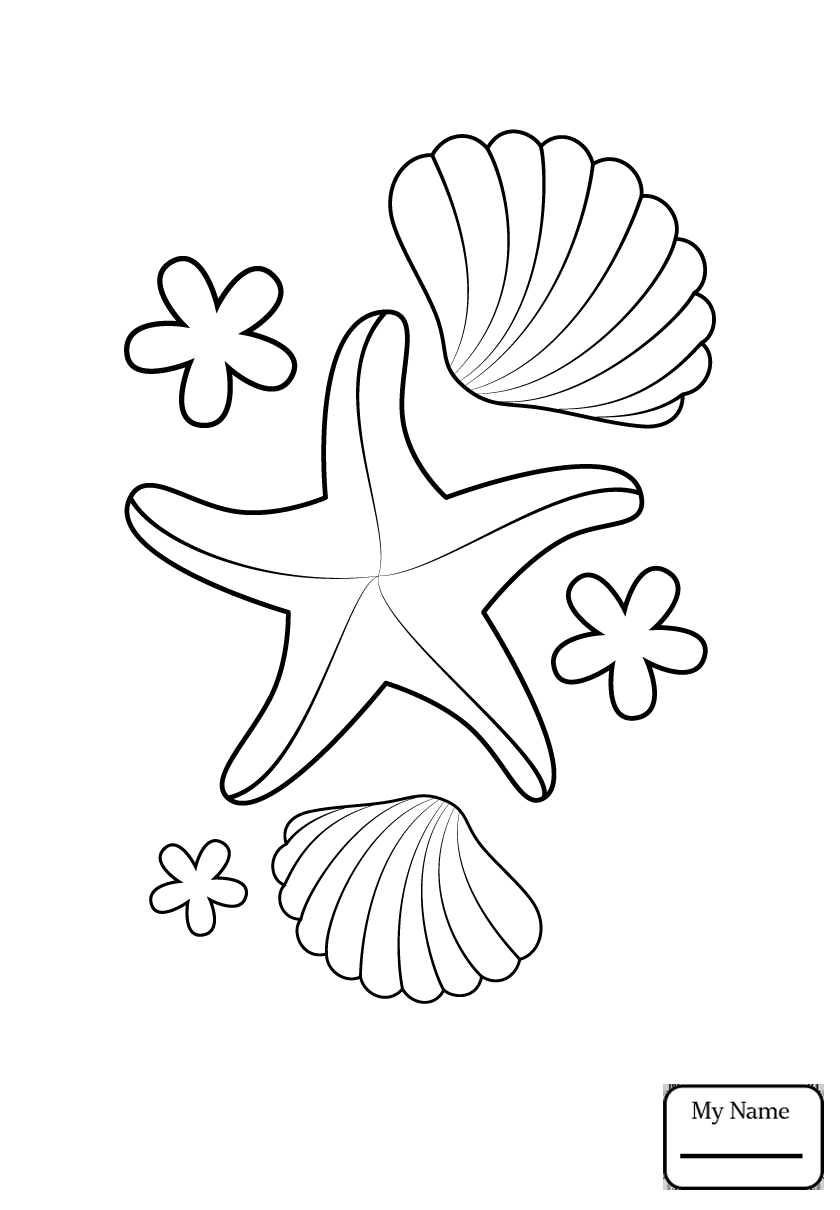 840x1210 Starfish