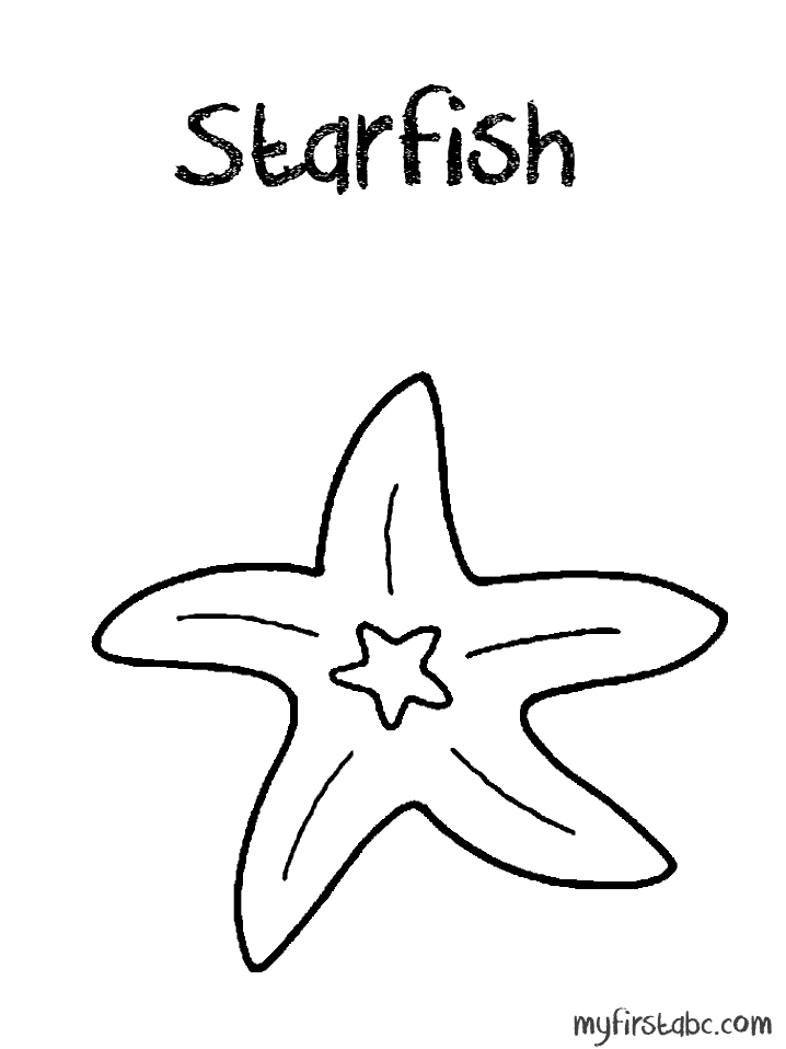 718x958 How To Draw A Starfish And Coloring Book For Kids