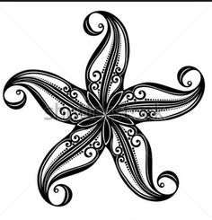 236x245 Starfish Drawing Pencil Clipart Panda