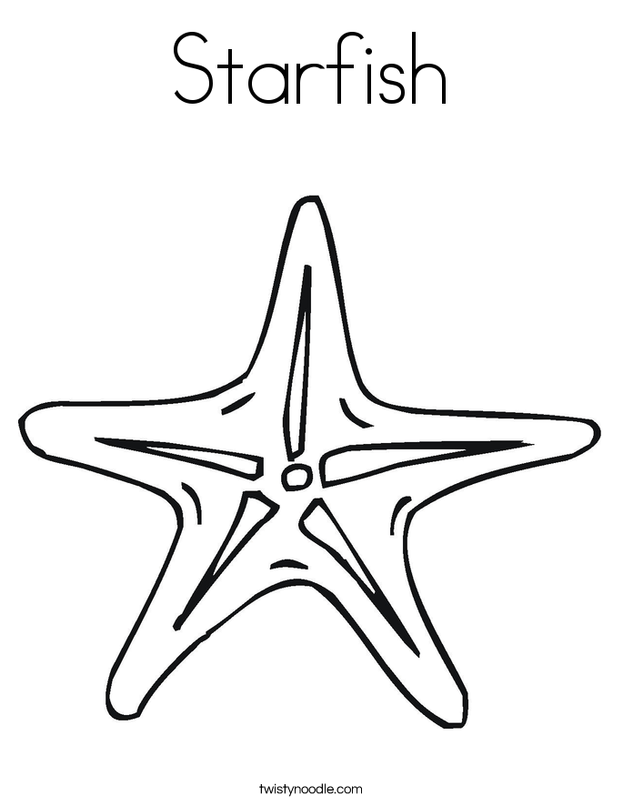 685x886 Top 10 Starfish Coloring Pages And Drawing For Kids
