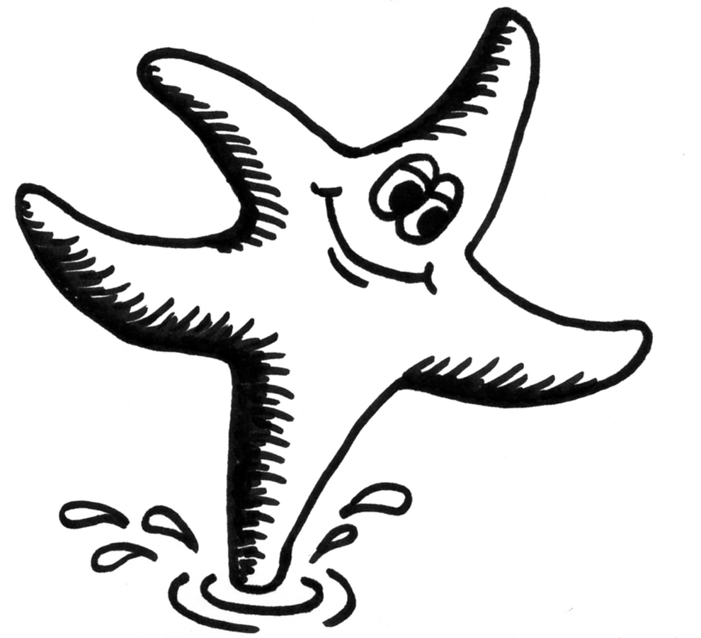 990x900 Drawing Of A Starfish Drawing Of A Starfish Star Fish