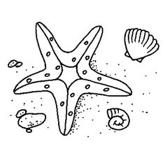 236x236 Starfish Template Printable Templates Colori On Download Coloring
