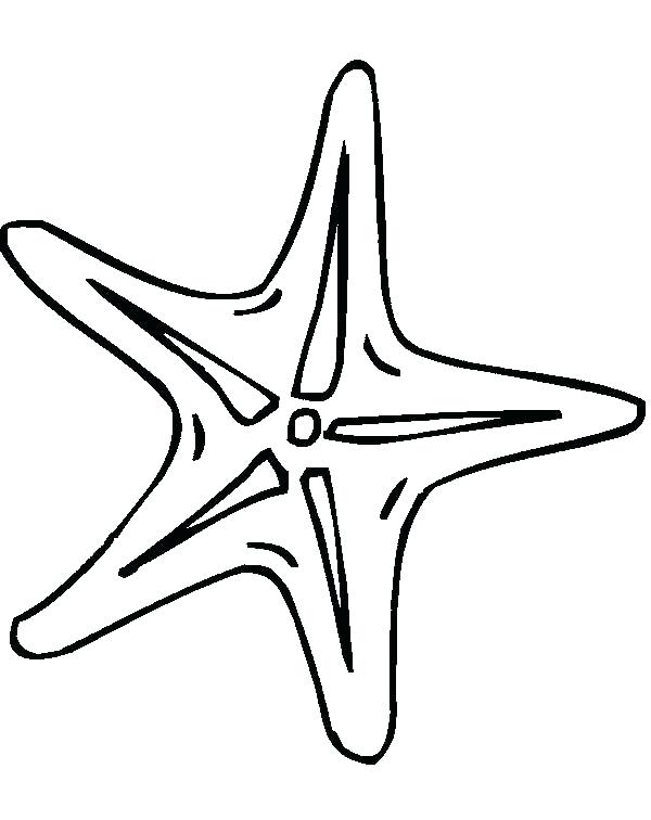 600x756 Drawn Starfish Simple 3451884