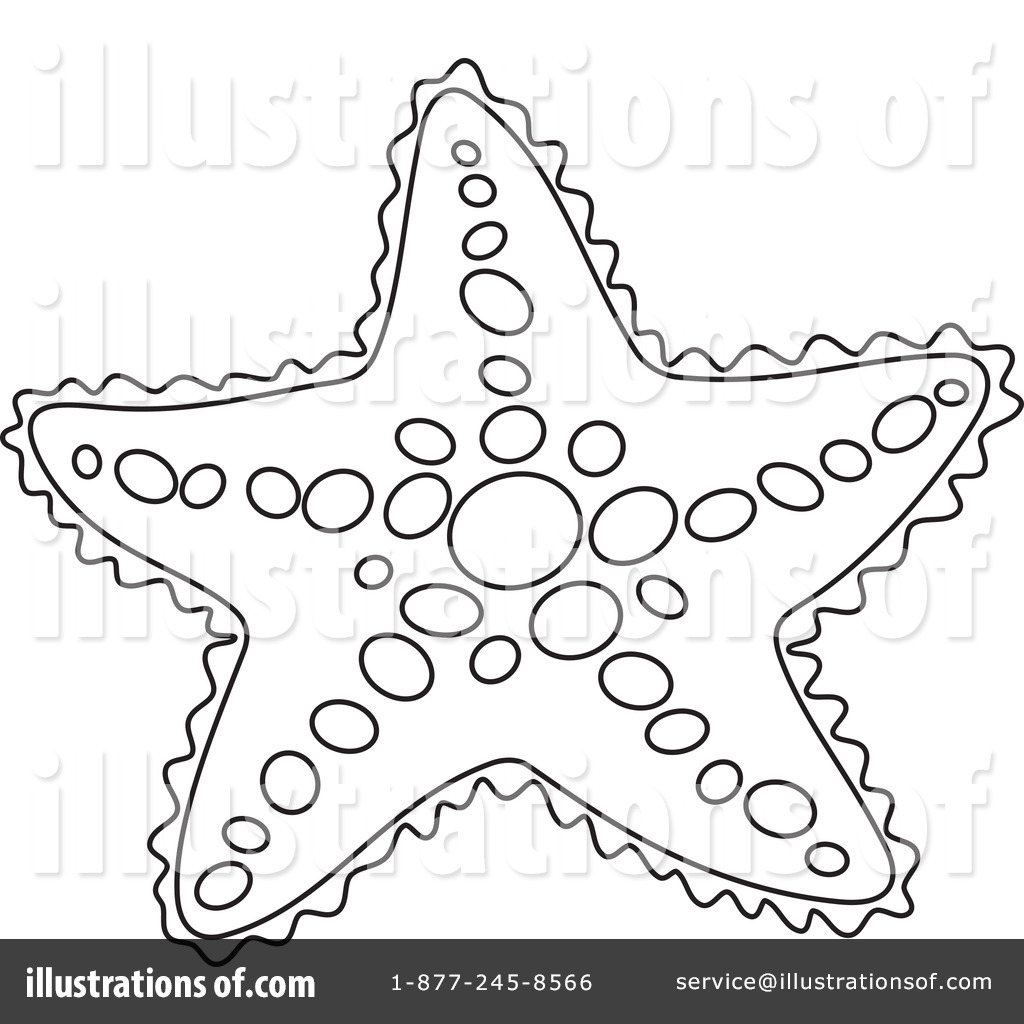 1024x1024 Starfish Clipart