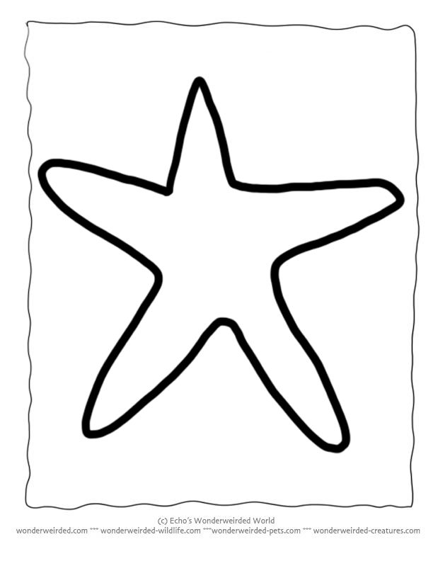 612x792 Starfish Outline Printable
