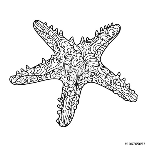 500x500 Starfish Coloring Book For Adults Vector Stock Image And Royalty