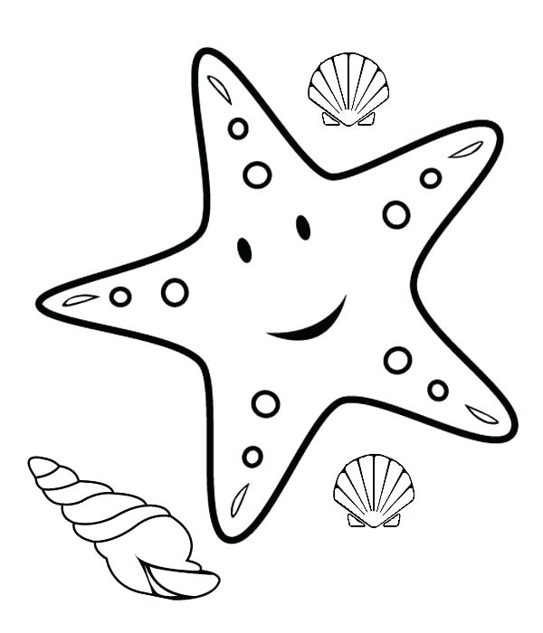 Starfish Line Drawing at GetDrawings | Free download