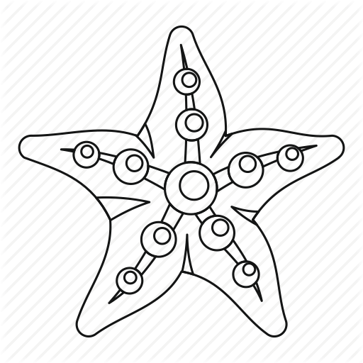512x512 Line, Marine, Ocean, Outline, Sea, Starfish, Thin Icon Icon