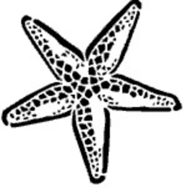 592x600 Starfish Clip Art Free Clipart Panda