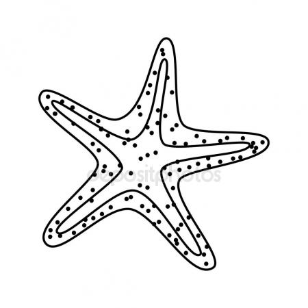 450x450 Starfish Stock Vectors, Royalty Free Starfish Illustrations
