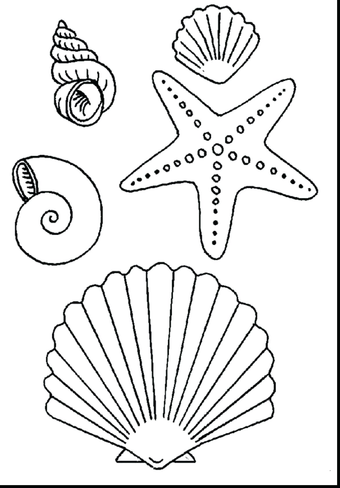 1174x1686 Coloring Sea Shells Coloring Pages