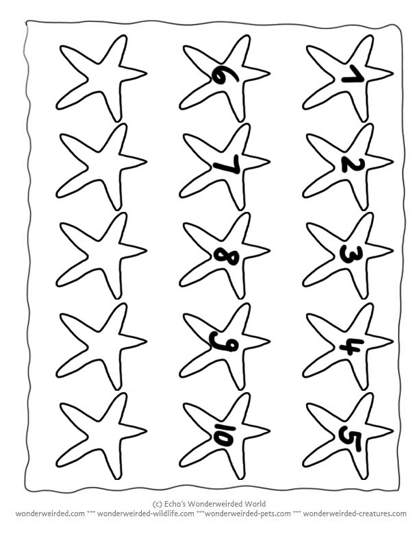 612x792 Drawn Starfish Printable