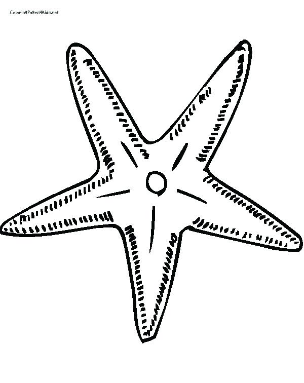 600x756 Star Fish Coloring Page Pin Drawn Starfish Coloring Page 4 Pencil