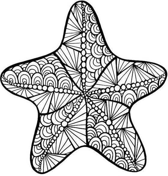 560x589 Starfish Zentangle Coloring Page Printable Art Coloring Pages
