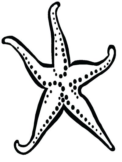 400x533 Beautiful Starfish Coloring Page Image Book Pages Small