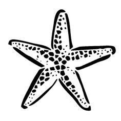 236x236 Draw A Starfish Starfish, Drawings And Doodles