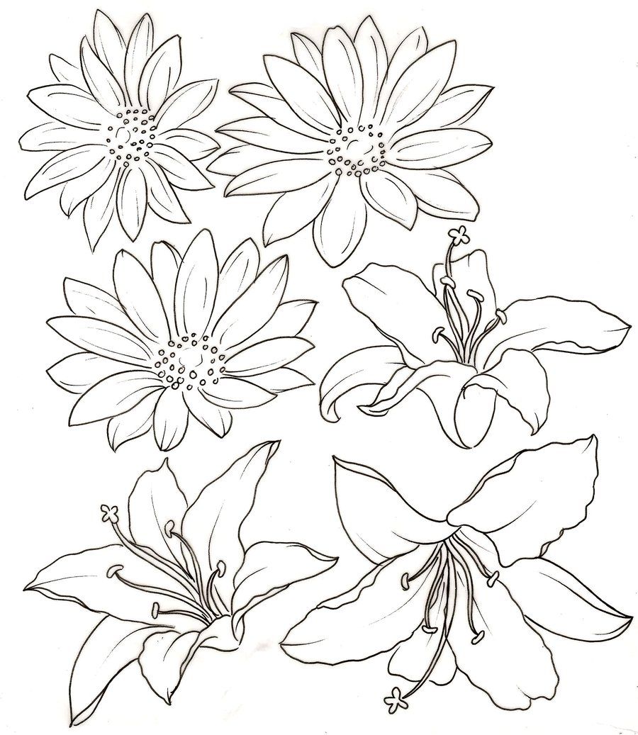 900x1037 Lily And Daisy Tattoos By ~metacharis On My Tattoo
