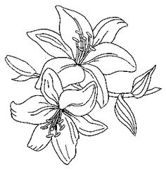 236x244 Resultado De Imagen Para Dibujos De Orquideas Drw Flowers