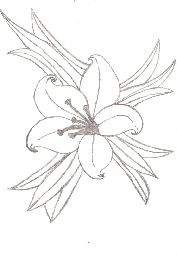 736x1079 Tiger Lily Tattoo