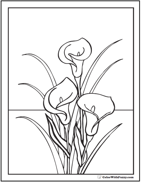 590x762 Lily Coloring Pages Customize Pdf Printables