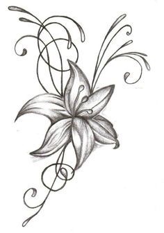 236x336 Drawn Lily Flower Opening
