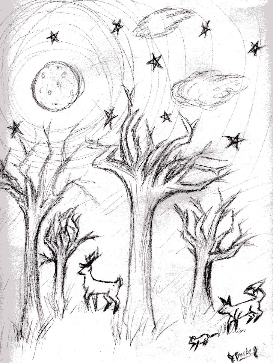 911x1211 Moon, Stars And Trees By Remusmoony