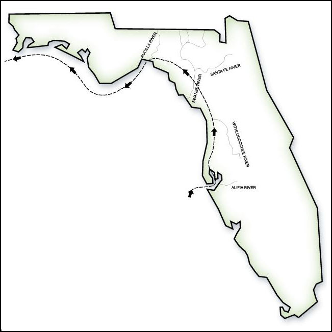 651x651 Three Centuries Of Spanish Florida Fcit