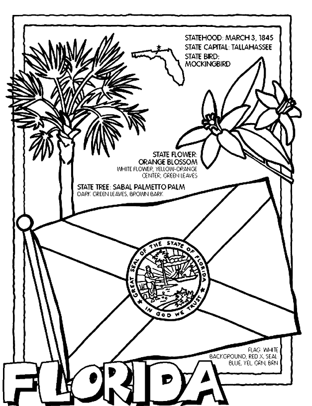 627x815 Florida Coloring Page