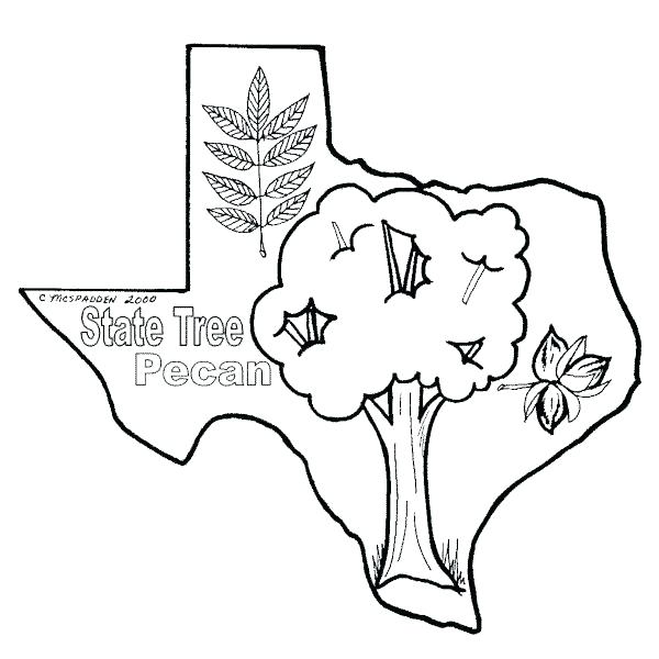 600x600 Texas Flag Coloring Sheet Click To See Printable Version Of Flag
