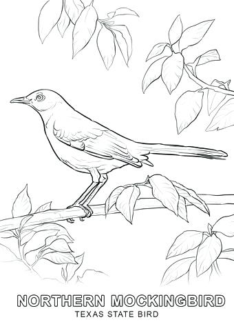 340x480 Texas State Flag Coloring Page Click To See Printable Version