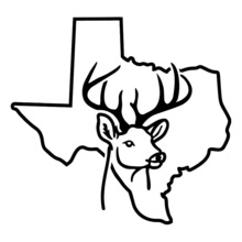 220x220 Buy Cartoon Car Outline And Get Free Shipping