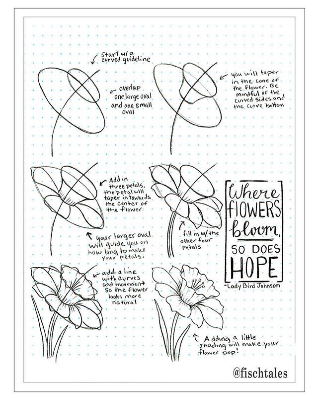 640x800 Instagram Post By Melissa Fischer (@fischtales) Statistics