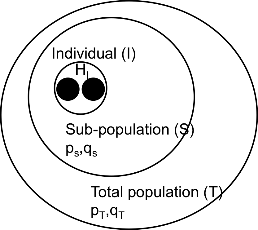 833x742 Notes On Population Genetics