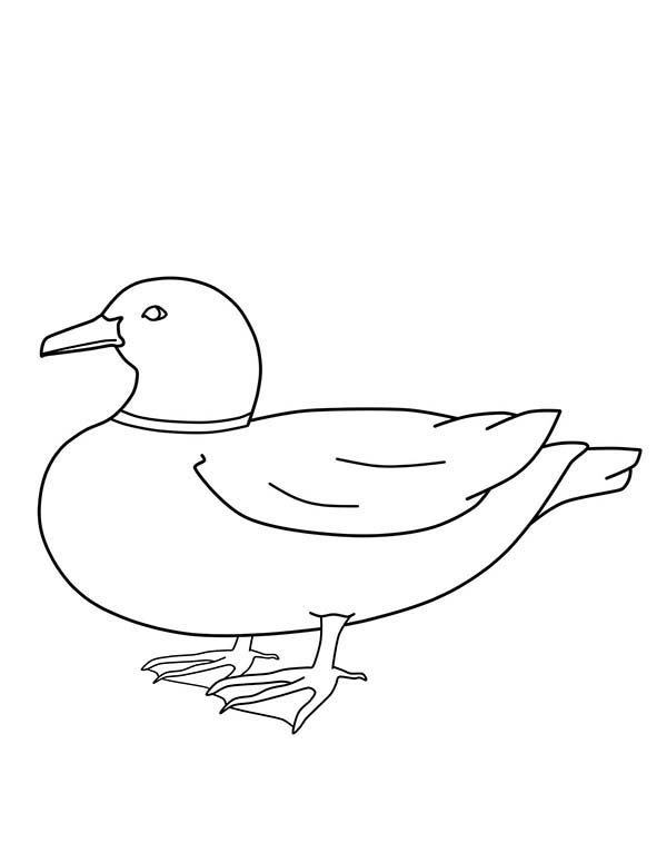 600x776 Statue Of Liberty Outline