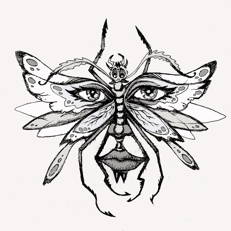 800x800 Bug Face Butterfly By Creevesabudd